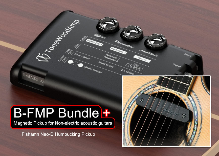 ToneWood Amp & Fishman Pickup Bundle