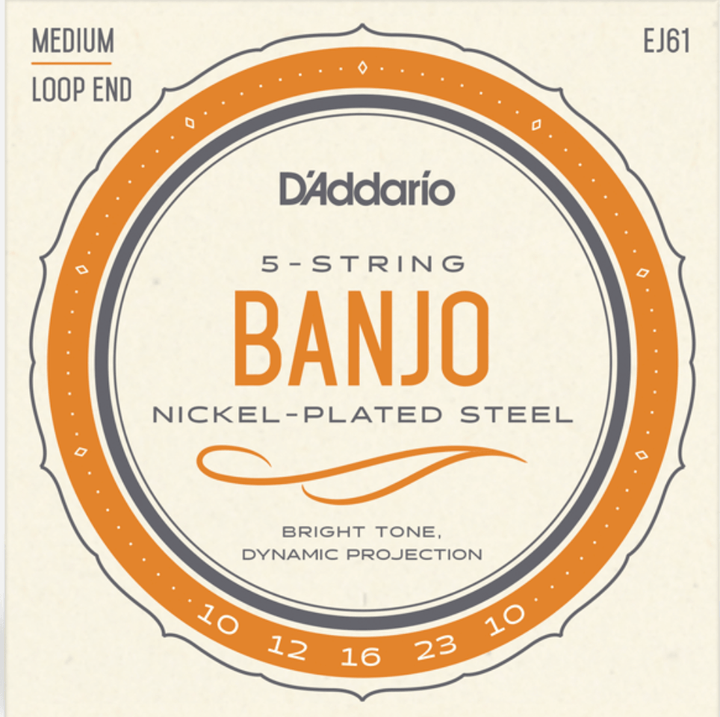 D'Addario 5 String Banjo String Set by D'Addario Canada