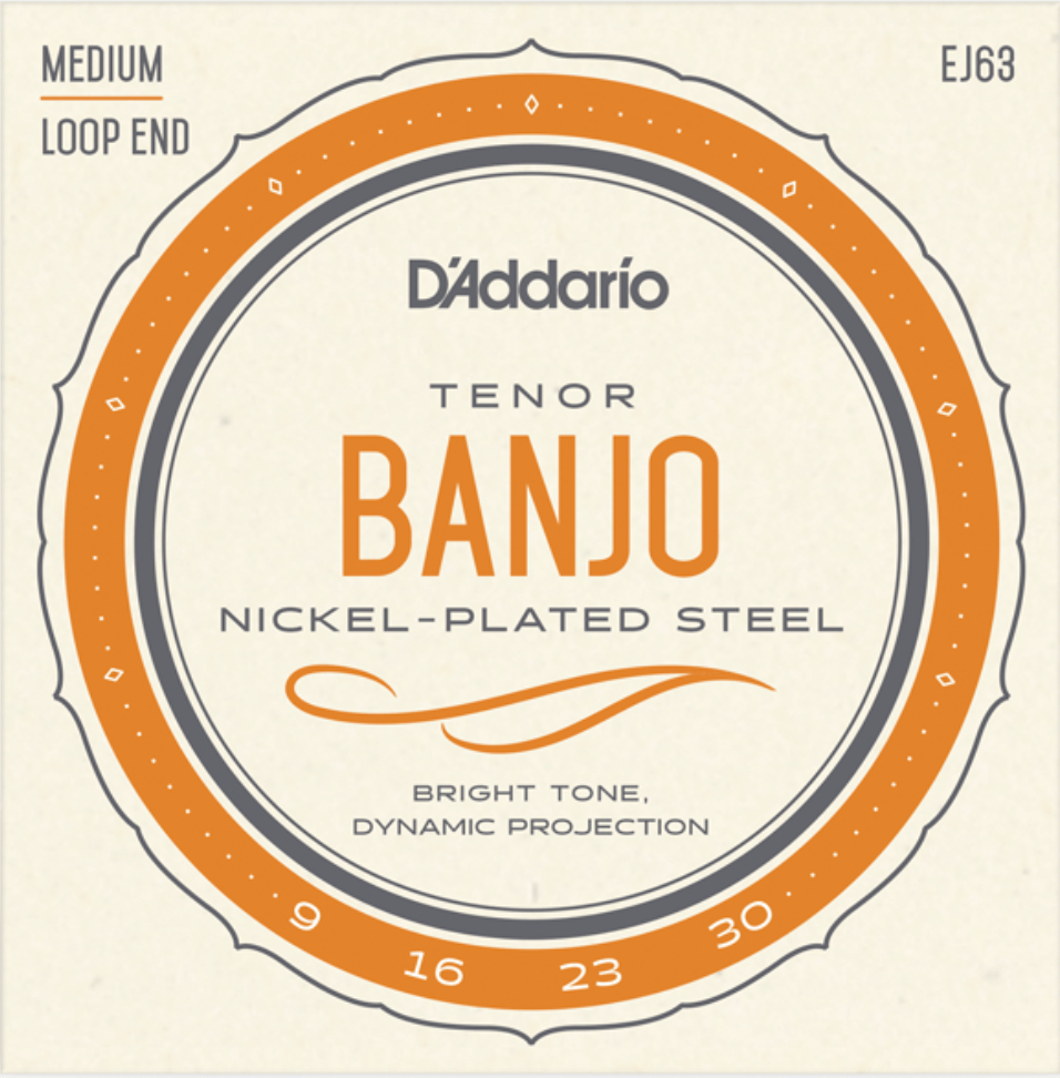 D'Addario EJ63 Tenor Banjo String Set by D'Addario Canada