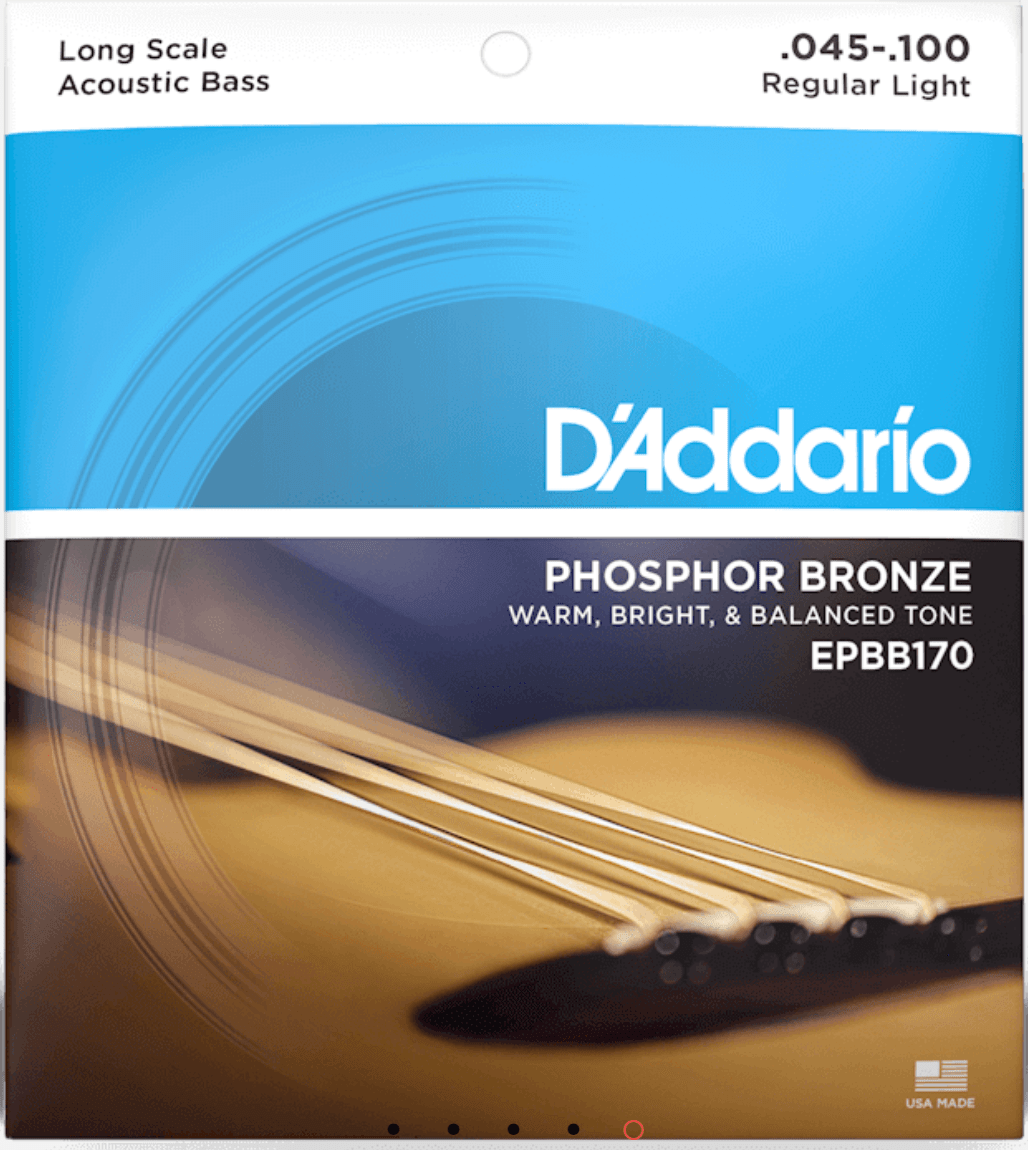 D'Addario Phosphor Bronze Light Acoustic Bass Strings (EPBB170) by D'Addario Canada