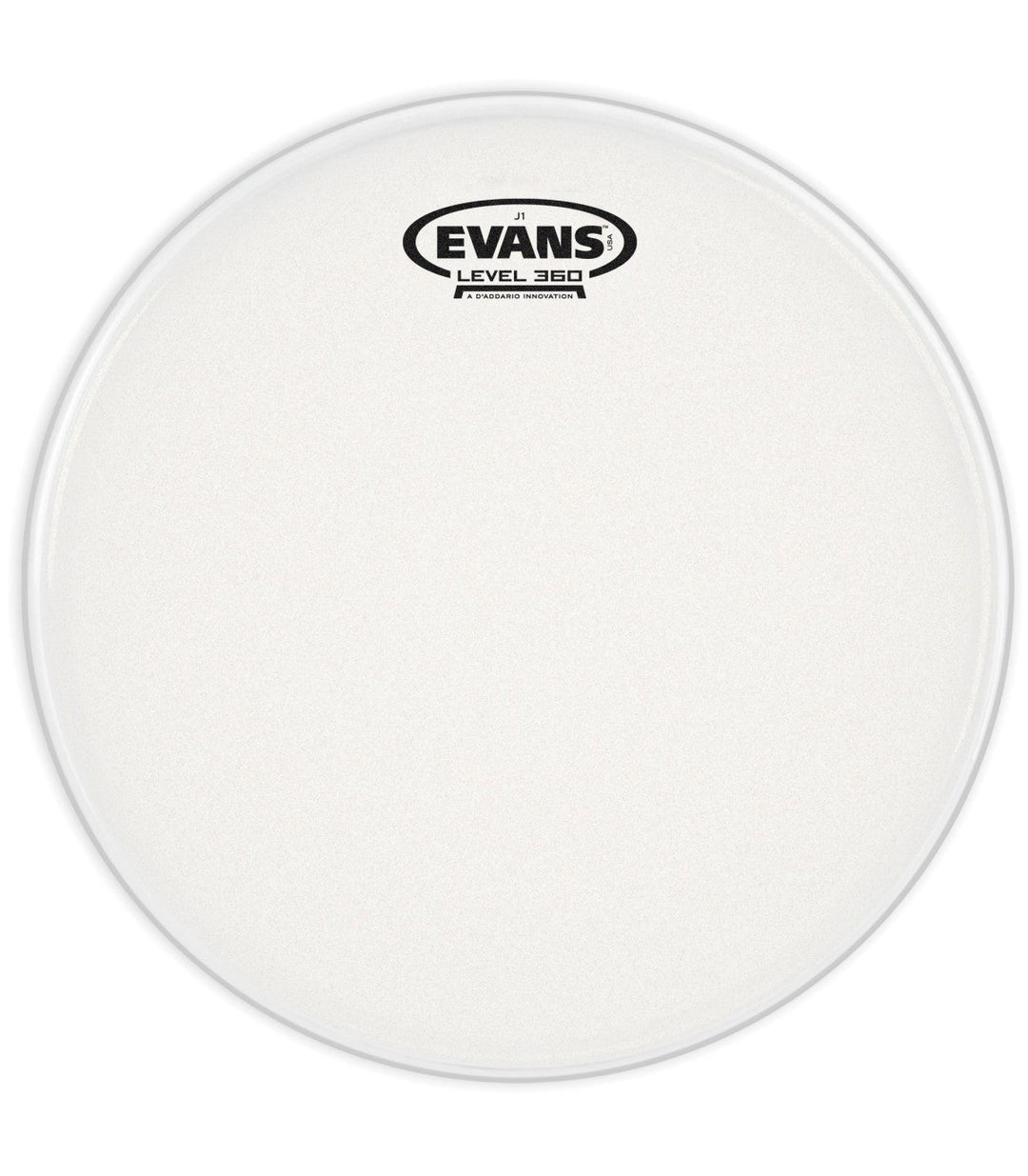 Evans Etched Drum Head by D'Addario Canada