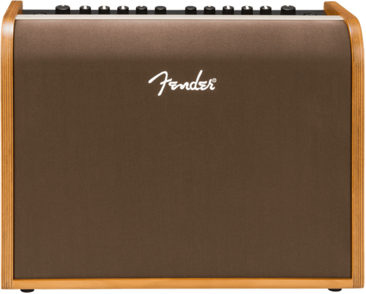 Fender Acoustic 100 Acoustic Amp by FMIC