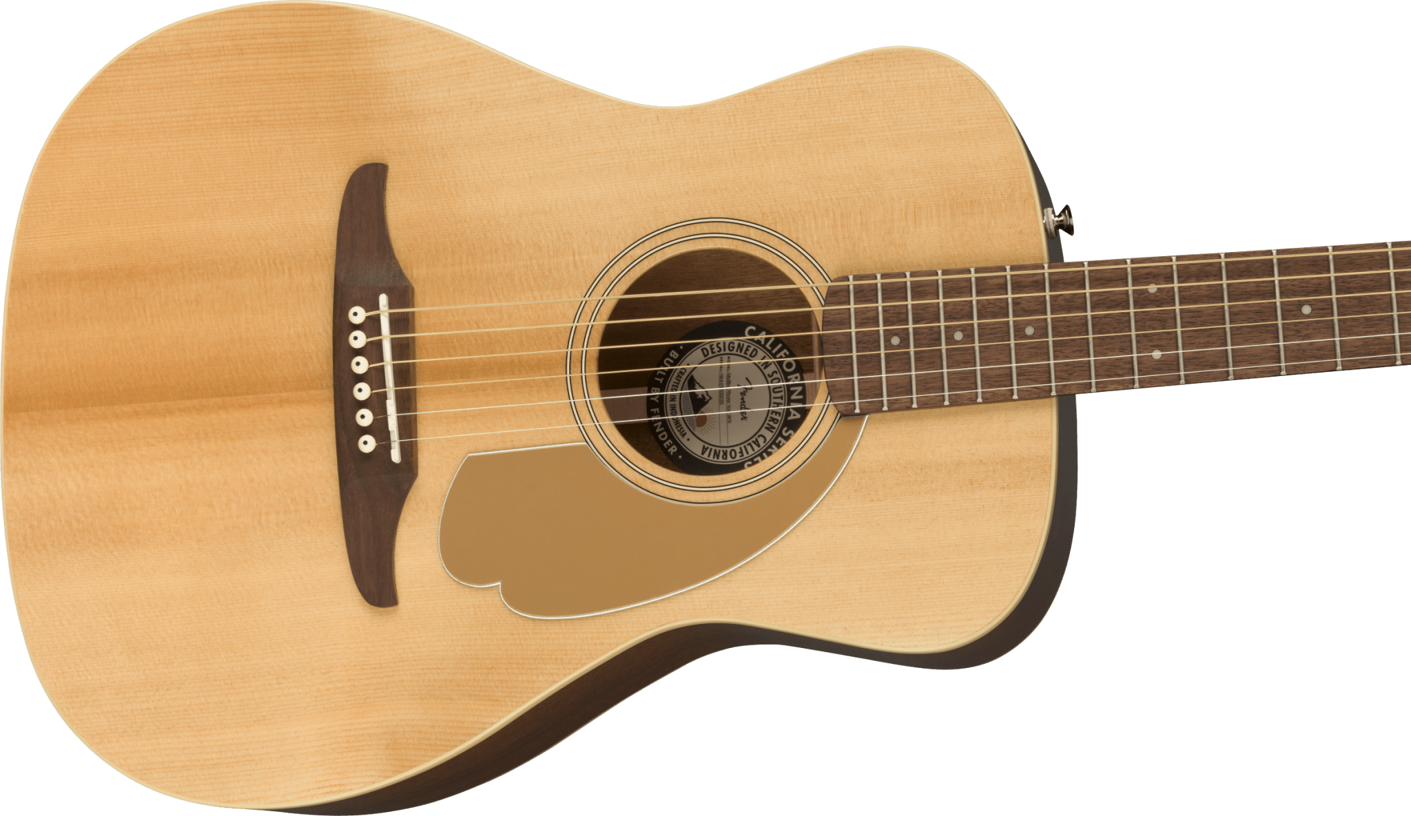 Fender Malibu Player Acoustic/Electric Guitar by FMIC