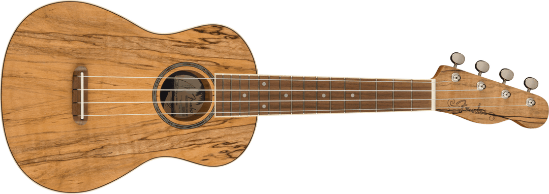Fender Zuma Exotic Concert Ukulele by FMIC