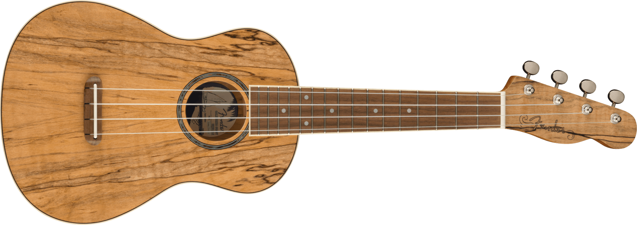 Fender Zuma Exotic Concert Ukulele by FMIC