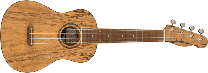 Fender Zuma Exotic Concert Ukulele by FMIC