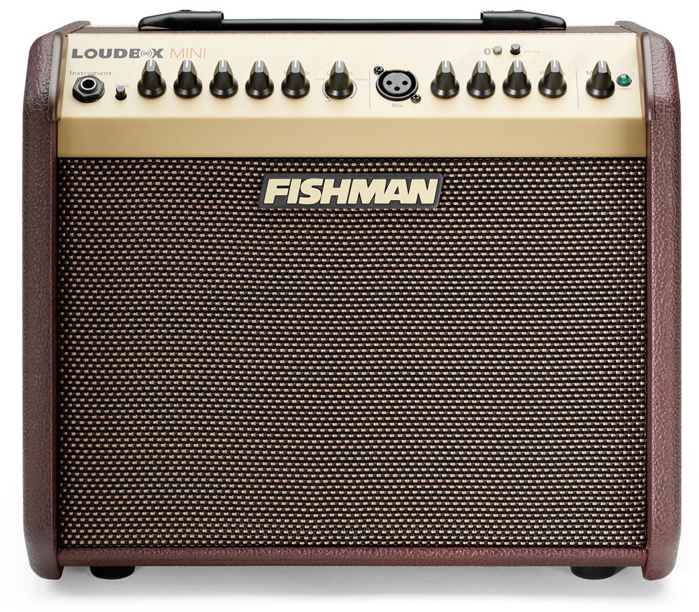 Fishman Loudbox Mini by Fishman