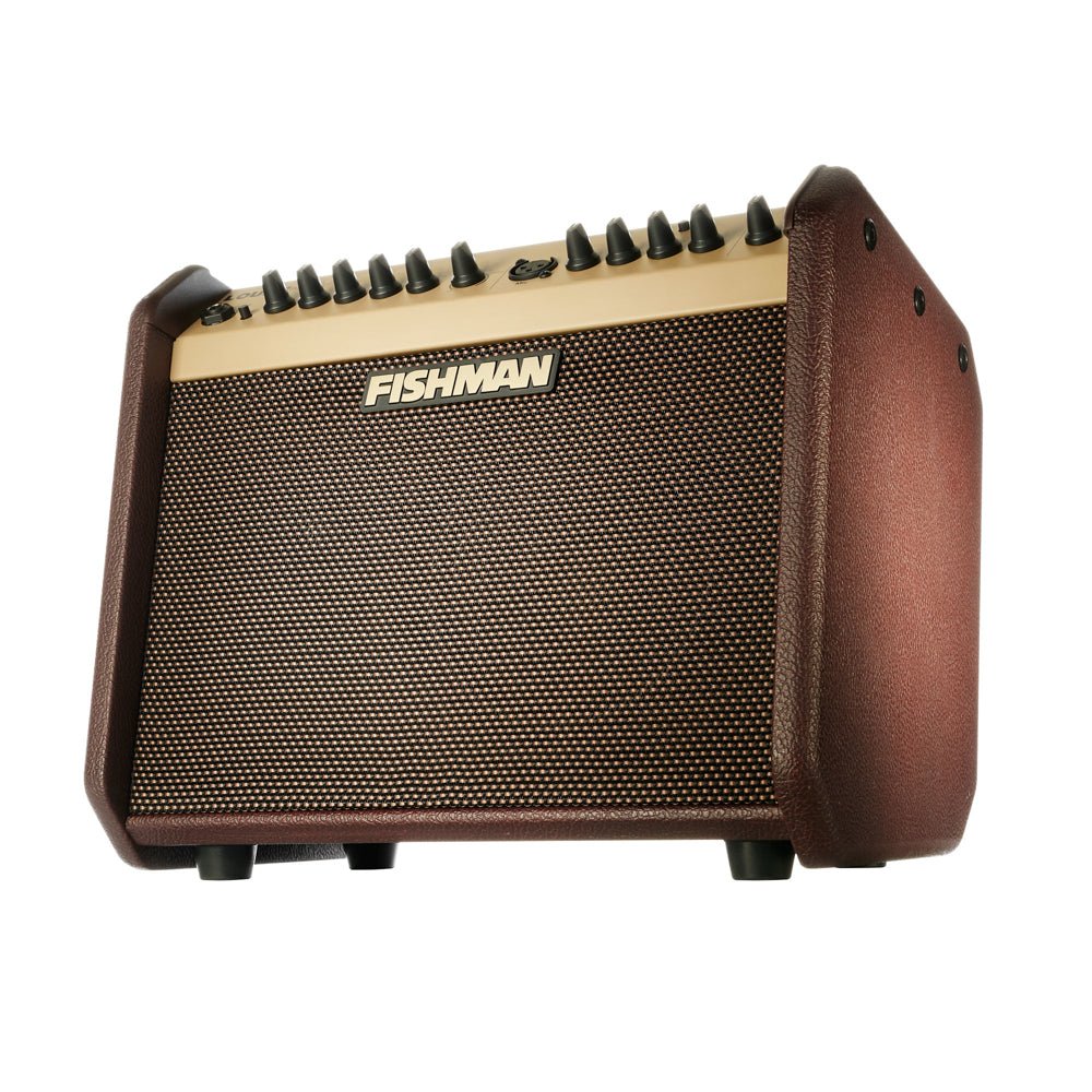Fishman Loudbox Mini by Fishman