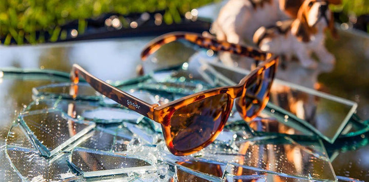 Goodr Sunglasses Bosley's Basset Hound Dreams by Goodr