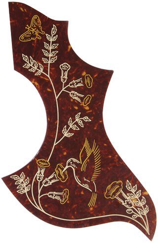 Profile Adhesive Pickguard by Coast Music