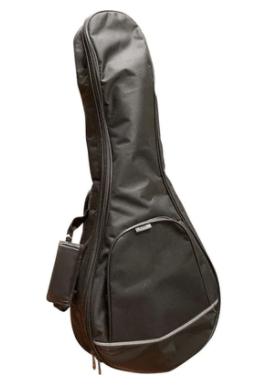 Profile M05TX Mandolin Bag by Coast Music