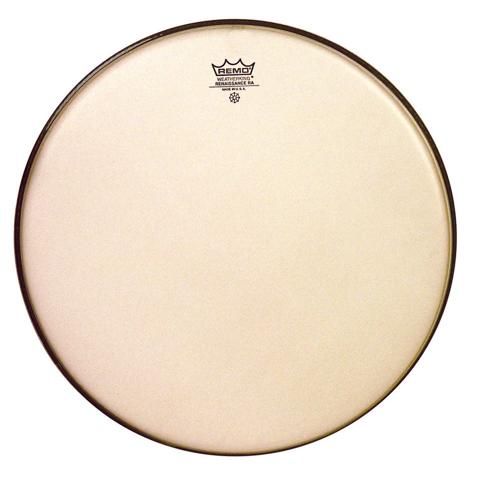 Remo Ambassador Renaissance 14" Drum Head by Coast Music