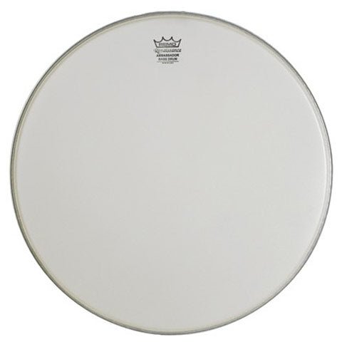 Remo Ambassador Renaissance 22" Bass Drum Head by Coast Music