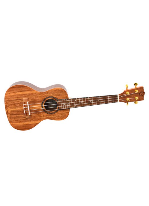Twisted Wood Aurora Ukulele by Twisted Wood Guitars