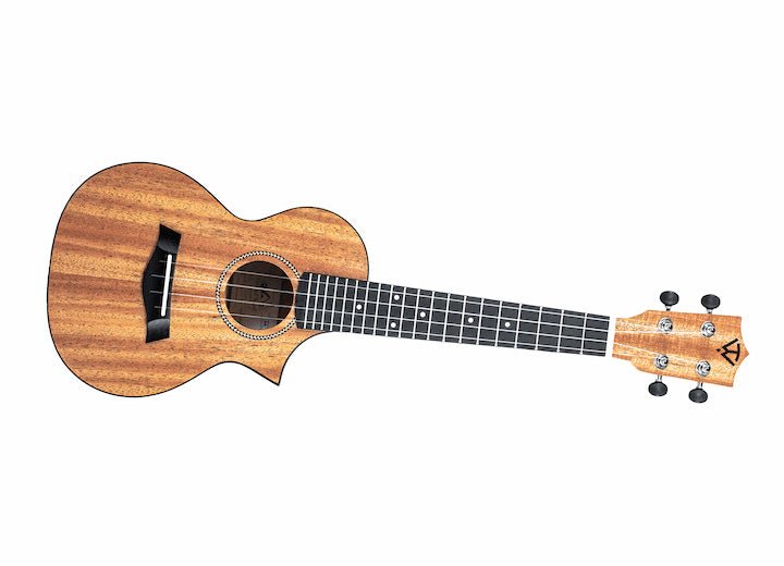 Twisted Wood Ember Ukulele by Twisted Wood Guitars