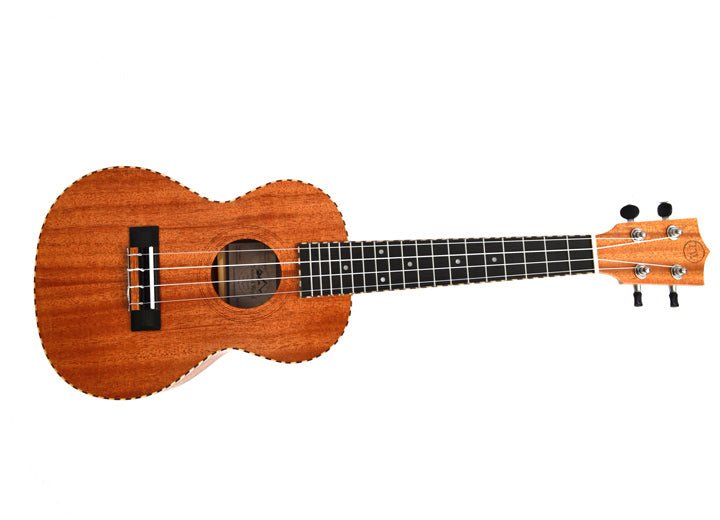 Twisted Wood Original Ukulele by Twisted Wood Guitars