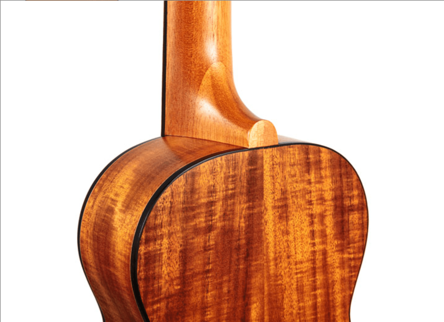 Twisted Wood Sierra Ukulele by Twisted Wood Guitars