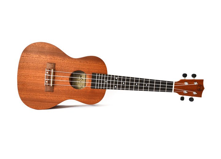 Twisted Wood Tyro Ukulele by Twisted Wood Guitars