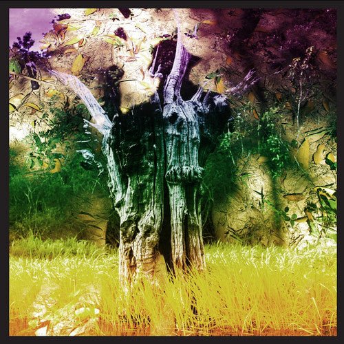 VINYL ANIMAL COLLECTIVE MEETING OF THE WATERS by Faders Music Inc.