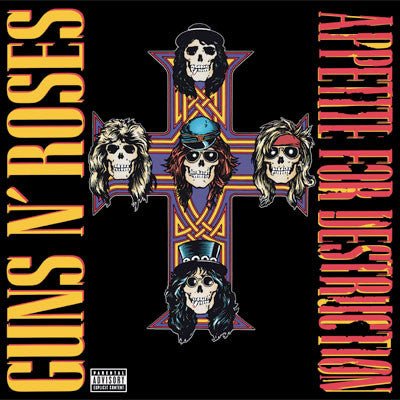 VINYL APPETITE FOR DESTRUCTION (REMASTER) (2LP) by FAB