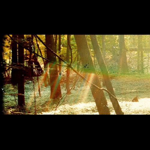 VINYL Childish Gambino Camp by FAB