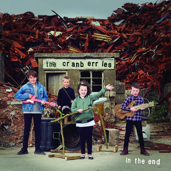 VINYL CRANBERRIES IN THE END by FAB