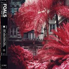 VINYL FOALS EVERYTHING NOT SAVED WILL BE LOST by Faders Music Inc.