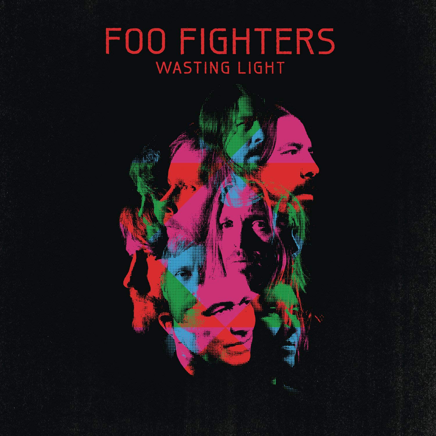 VINYL Foo Fighters Wasting Light by FAB