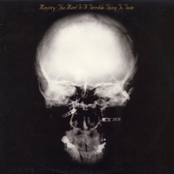 VINYL MINISTRY THE MIND IS A TERRIBLE THING TO TASTE by FAB