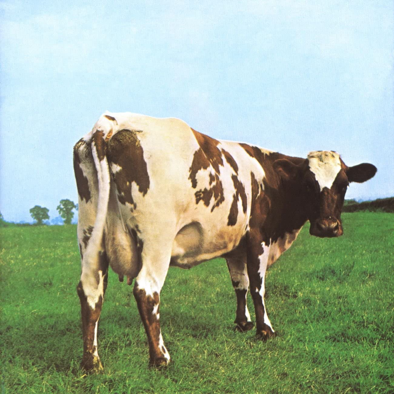 VINYL Pink Floyd Atom Heart Mother (2016 Version) by FAB