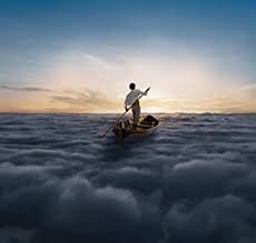 VINYL PINK FLOYD ENDLESS RIVER by FAB