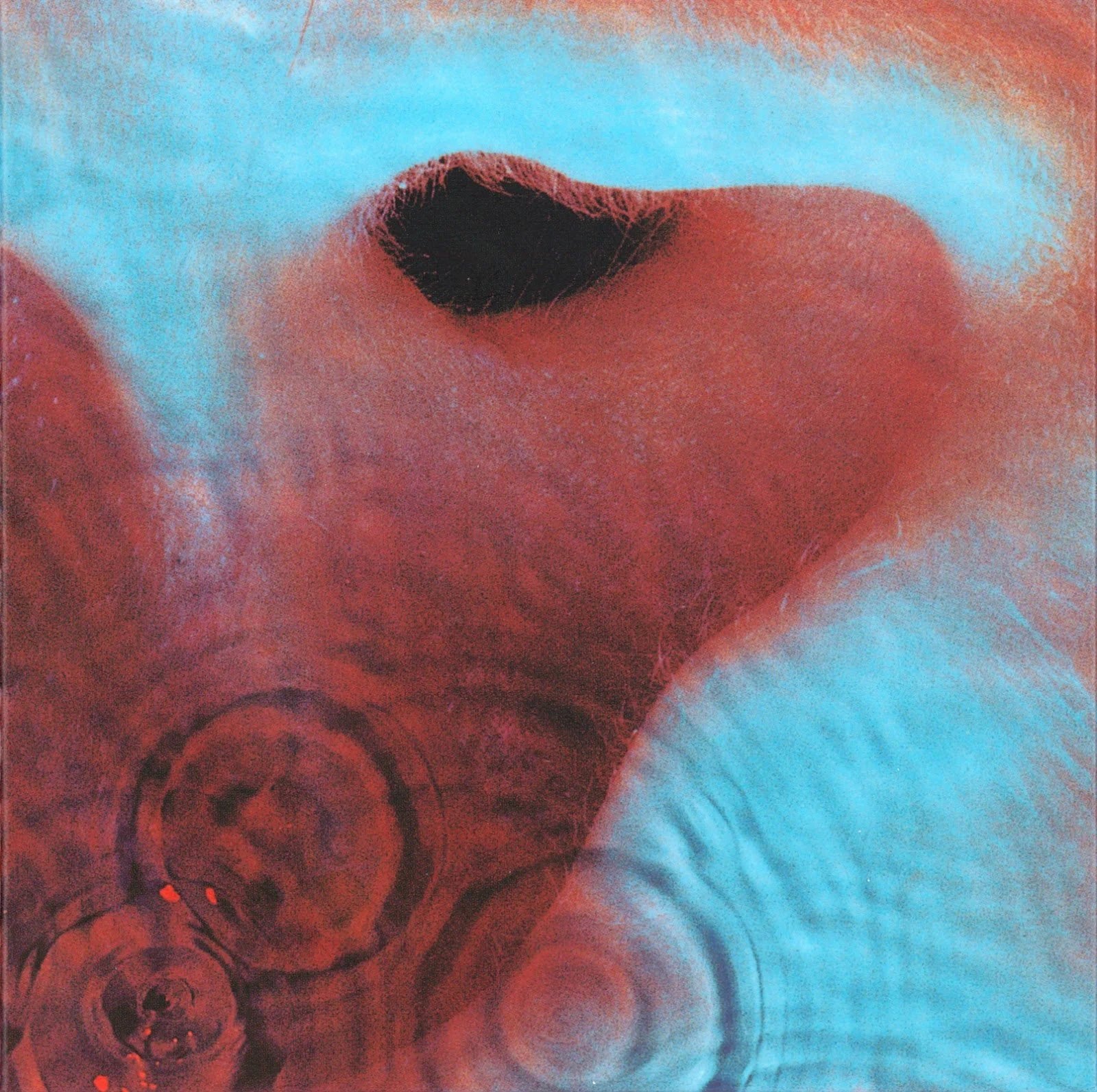VINYL Pink Floyd Meddle (2016 version) by FAB