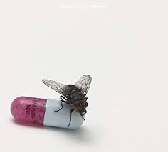 VINYL RED HOT CHILI PEPPERS I'M WITH YOU by Faders Music Inc.