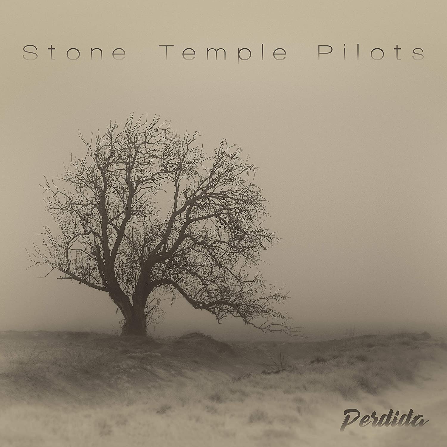 VINYL Stone Temple Pilots Perdida by FAB