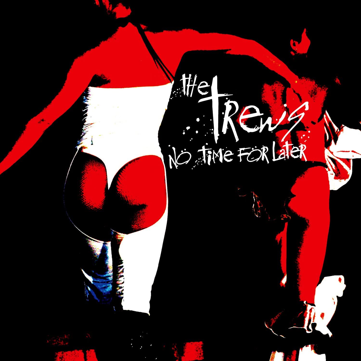 VINYL Trews No Time For Later by FAB